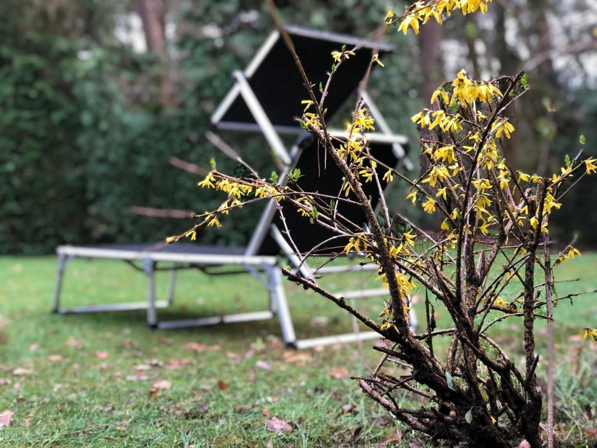 Veluwe Nature Home - 2-4 Persons オッテルロ エクステリア 写真