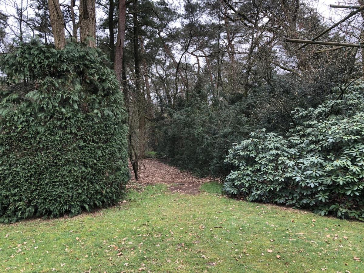 Veluwe Nature Home - 2-4 Persons オッテルロ エクステリア 写真